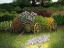 Picture of FLOWER WAGON
