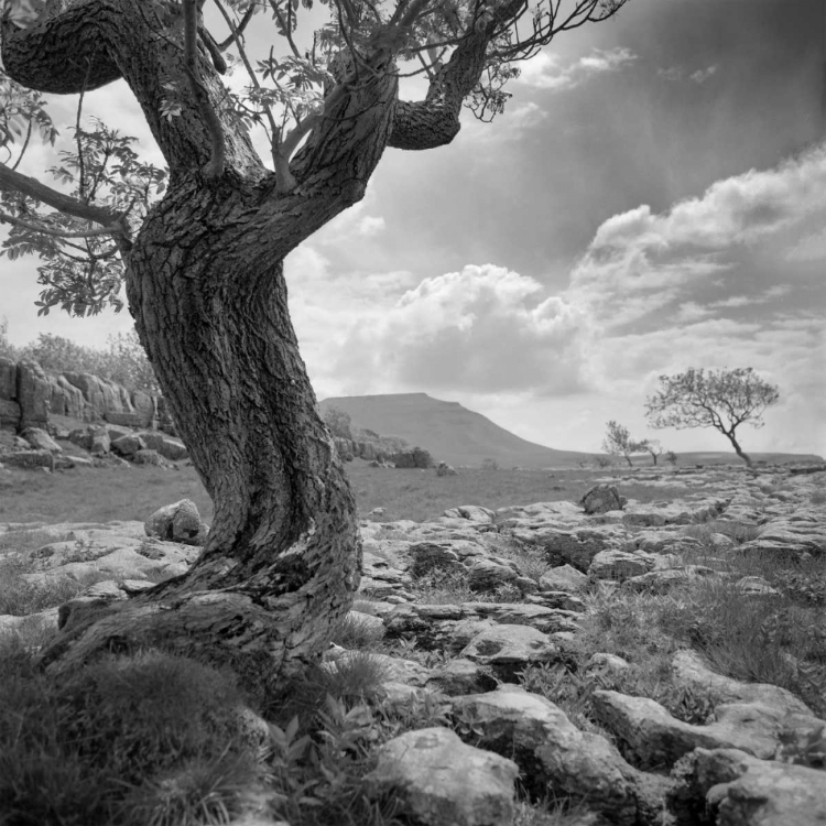 Picture of OUTCROP II