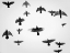Picture of IN THE SKIES I