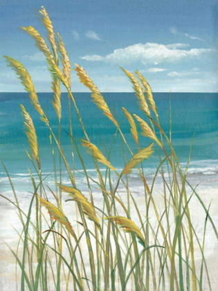 Picture of SUMMER BREEZE I