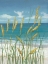 Picture of SUMMER BREEZE II