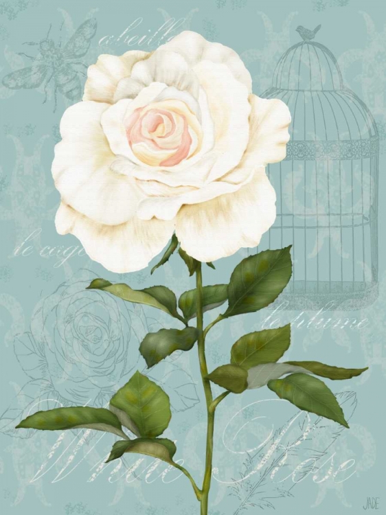 Picture of CREAM ROSE I