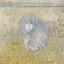 Picture of COASTAL CAMEO III