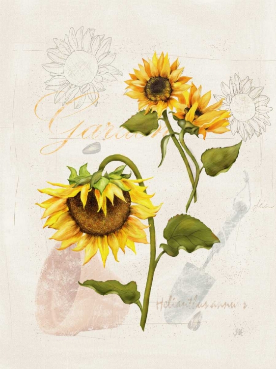 Picture of ROMANTIC SUNFLOWER I