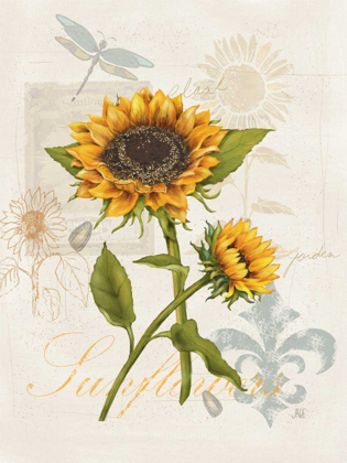 Picture of ROMANTIC SUNFLOWER II