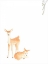 Picture of BABY ANIMALS VI