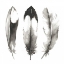 Picture of WATERCOLOR FEATHERS II