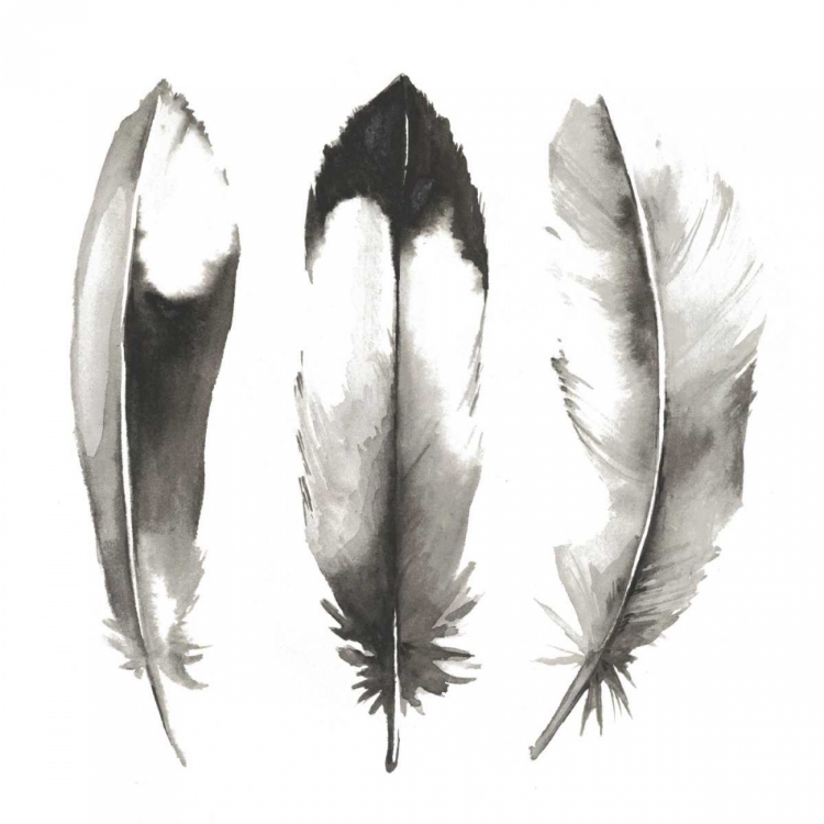 Picture of WATERCOLOR FEATHERS II