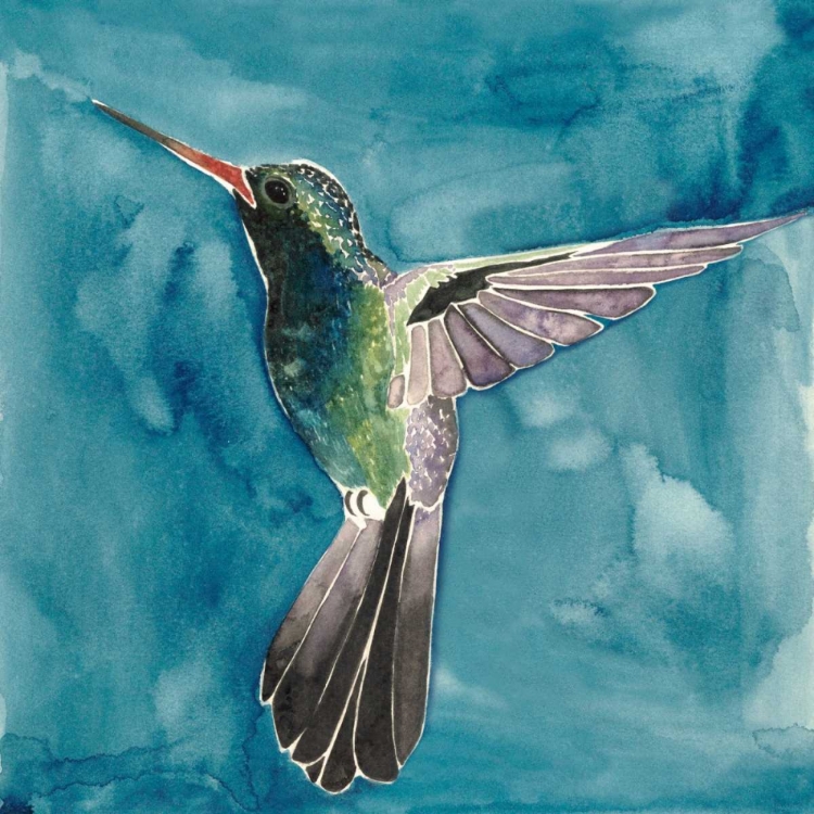 Picture of WATERCOLOR HUMMINGBIRD II