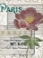 Picture of MUSICAL PARIS I