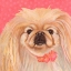 Picture of DLYNNS DOGS - PINKY