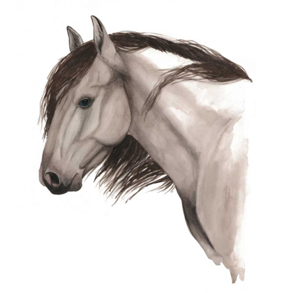 Picture of WILD HORSE II