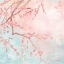 Picture of SWEET CHERRY BLOSSOMS IV