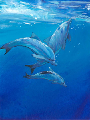 Picture of UNDER SEA DOLPHINS
