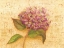 Picture of HYDRANGEA LOVE I