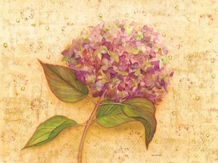 Picture of HYDRANGEA LOVE I