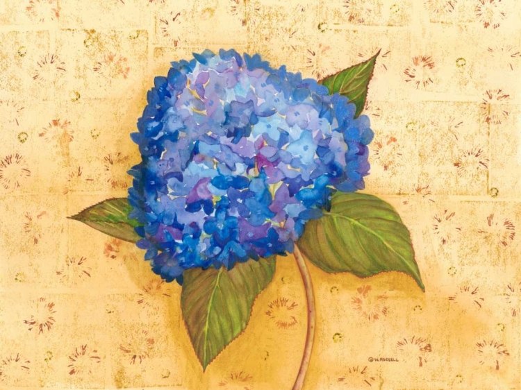 Picture of HYDRANGEA LOVE II