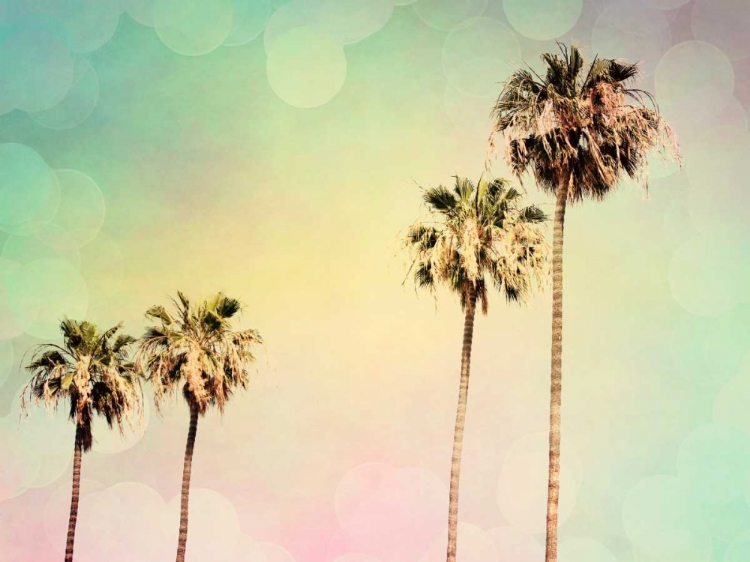 Picture of PALM TREES II