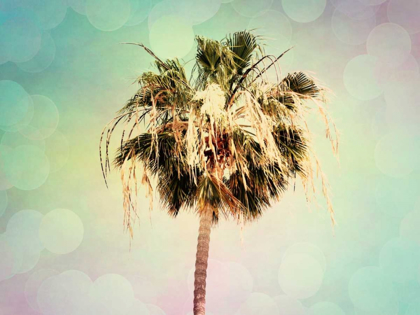 Picture of PALM TREES III