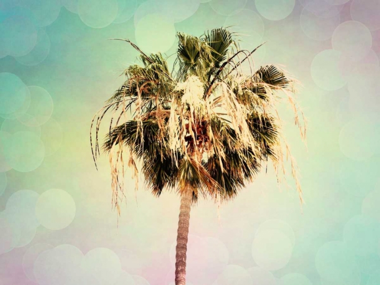 Picture of PALM TREES III