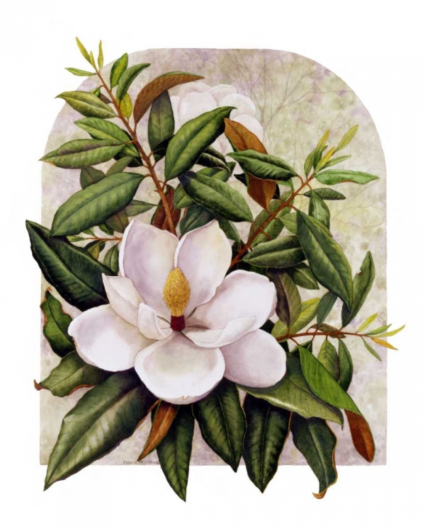 Picture of MAGNOLIA VIGNETTE