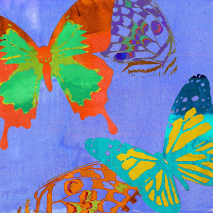 Picture of SATURATED BUTTERFLIES IV