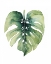 Picture of CUSTOM PARADISE PALM LEAVES ON WHITE I