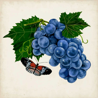 Picture of FRUIT WITH BUTTERFLIES II