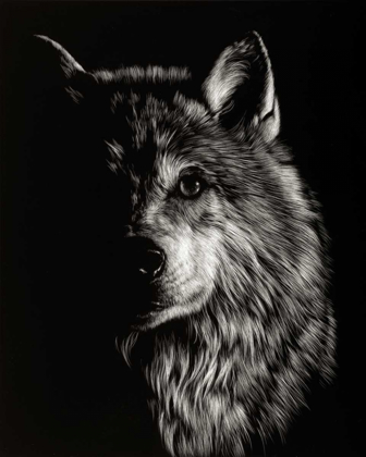 Picture of SCRATCHBOARD WOLF III