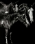 Picture of SCRATCHBOARD BLAZE BUDDIES