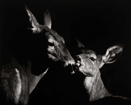 Picture of SCRATCHBOARD MOTHER LOVE #2