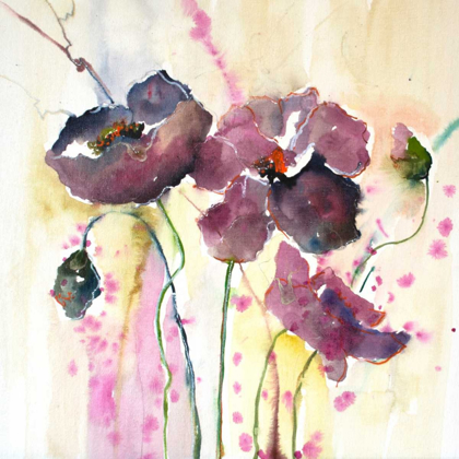 Picture of PLUM POPPIES II