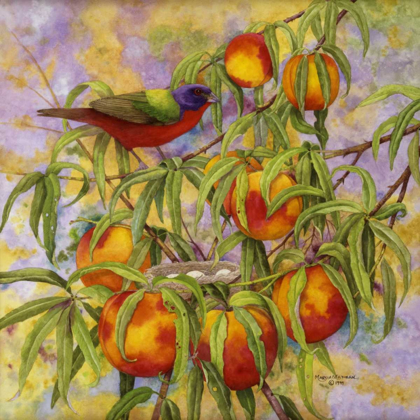 Picture of PAINTED BUNTING AND PEACHES