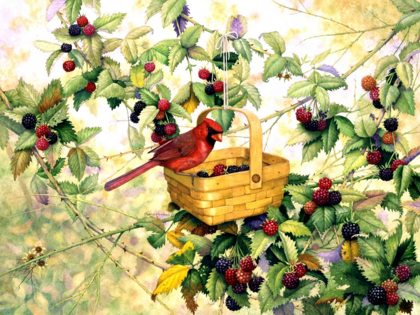 Picture of BERRY PICKER