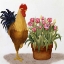 Picture of TULIP TIME