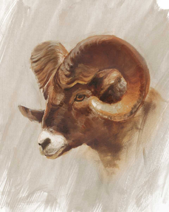 Picture of WESTERN AMERICAN ANIMAL STUDY I