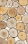Picture of TREE RING STUDY I