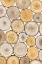 Picture of TREE RING STUDY II