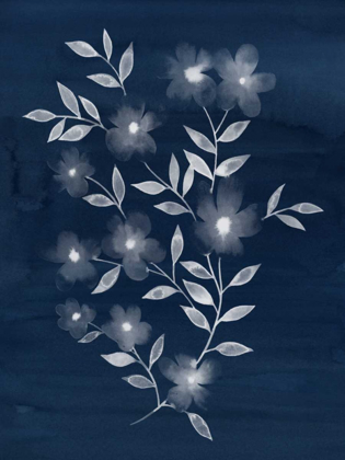 Picture of FLOWER CYANOTYPE II