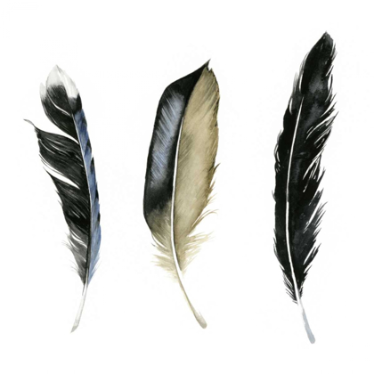 Picture of SOFT FEATHERS II