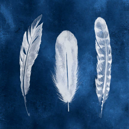 Picture of CYANOTYPE FEATHERS I