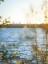 Picture of WHITE ROCK SUNSET II