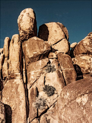 Picture of OUTCROPPINGS III
