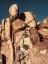 Picture of OUTCROPPINGS III
