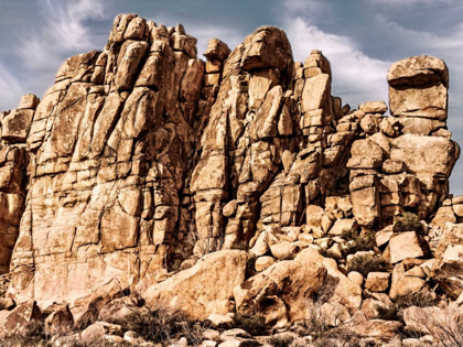 Picture of OUTCROPPINGS VII