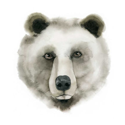 Picture of WATERCOLOR BEAR