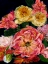 Picture of VINTAGE BOUQUET III
