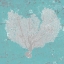 Picture of GRAPHIC SEA FAN VI