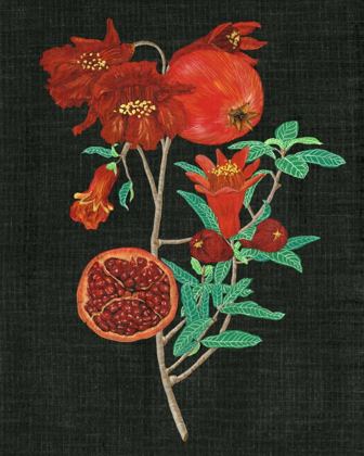 Picture of POMEGRANATE STUDY I