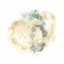 Picture of GALAXY I